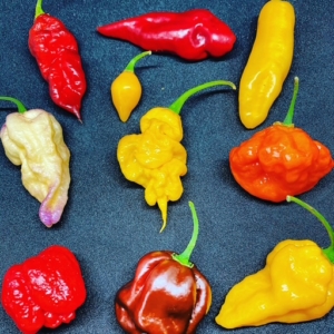 Capsicum Chinense